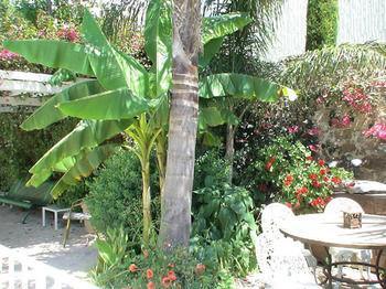 Aparthotel Veles 3*